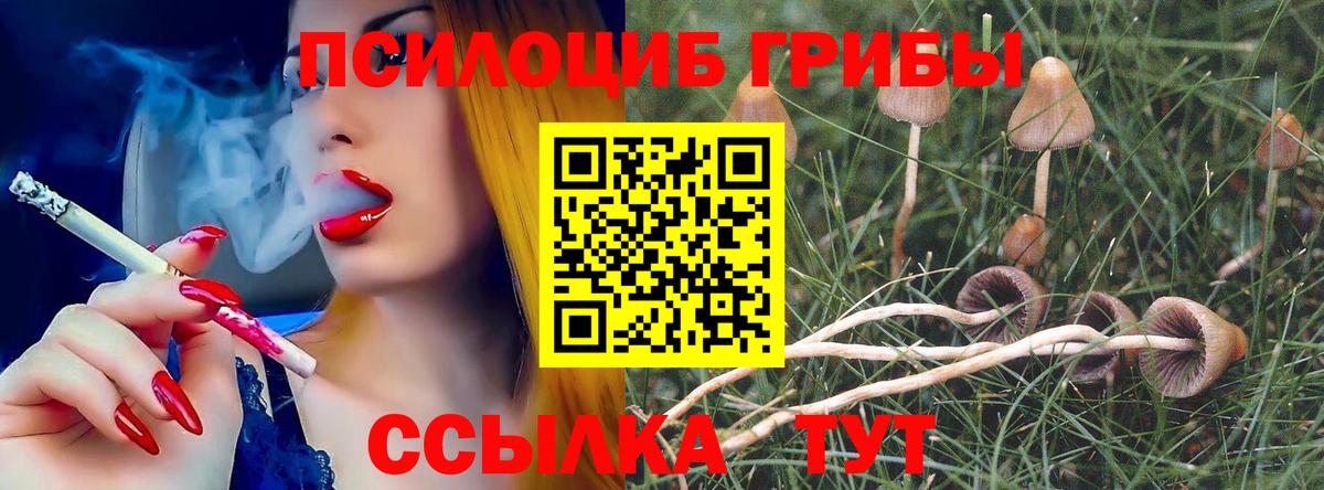 Псилоцибиновые грибы GOLDEN TEACHER  наркотики  Ханты-Мансийск  Вход с VPN 